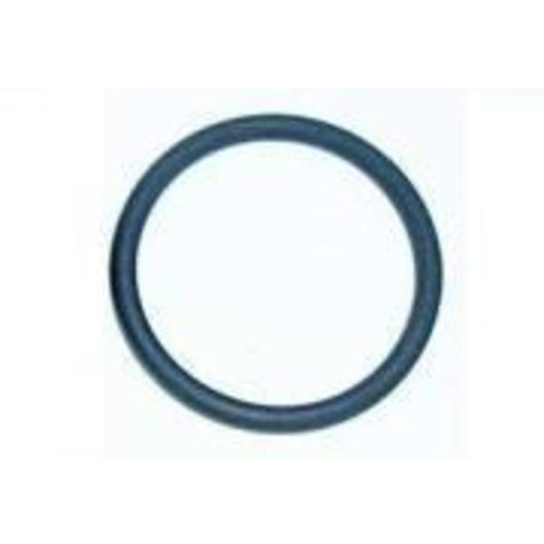 Professional Plastics Viton O-Ring (100 Pcs Per Pkg), 2-131 Black Viton O-RING-100 Pkg [Pac ORINGVITONBK2-131-100PCS